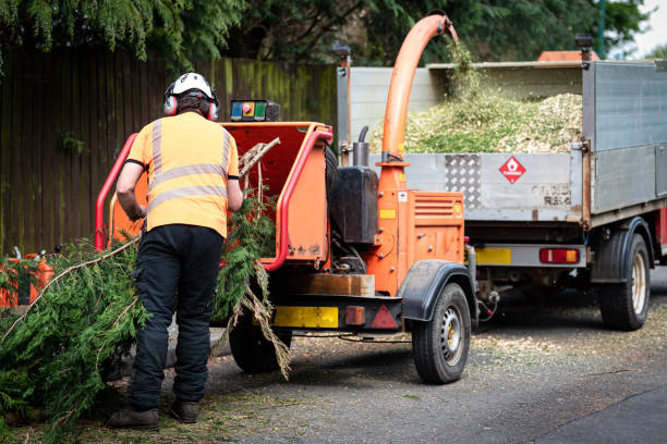 Best Lawn Watering Services  in Emmon, AK