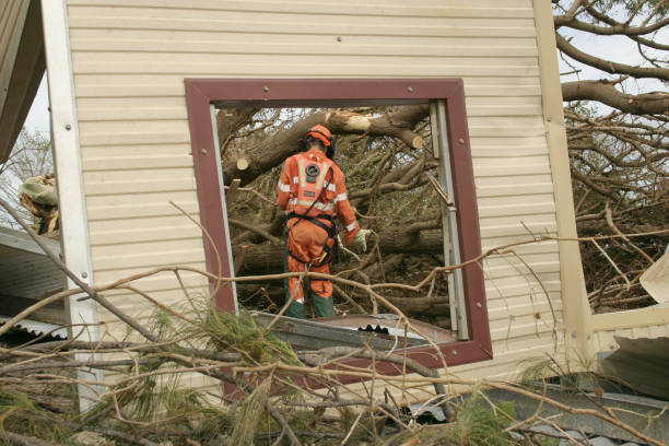 Best Seasonal Cleanup (Spring/Fall)  in Emmon, AK